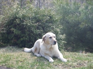 Tina - October 1991 - June 2006 - Ontario